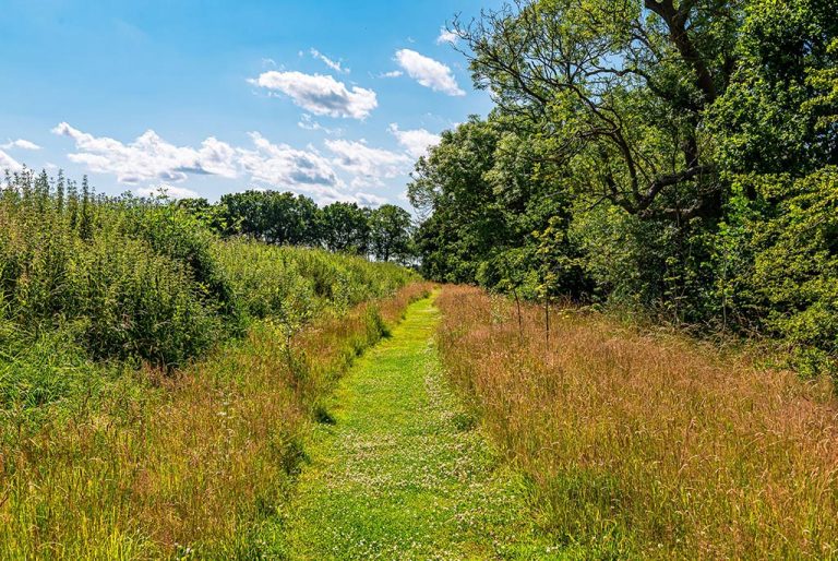 Ścieżka przyrodnicza w Flaxton Meadows